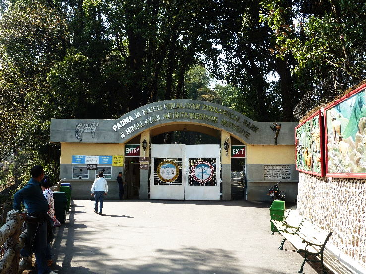 3. Padmaja Naidu Himalayan Zoological Park